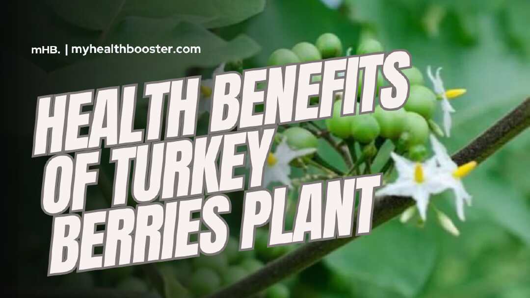 Health Benefits of Turkey Berries