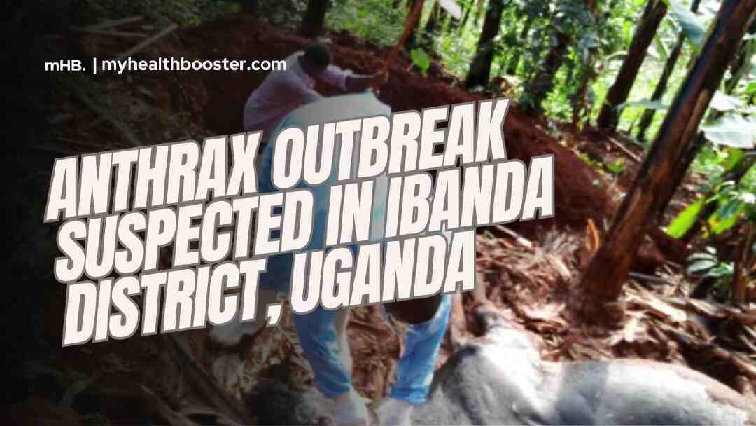 Anthrax Outbreak Suspected in Ibanda District, Uganda