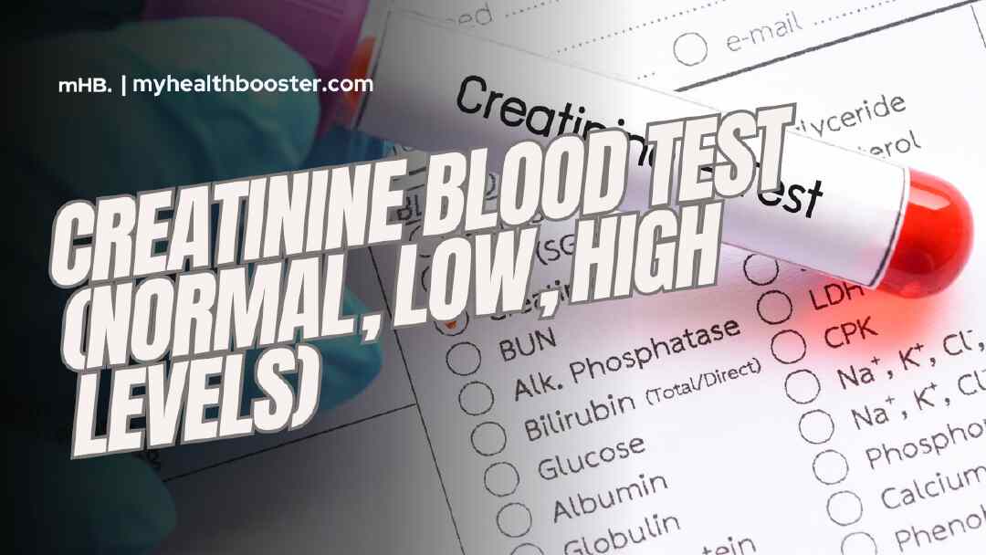 Creatinine Blood Test (Normal, Low, High Levels)