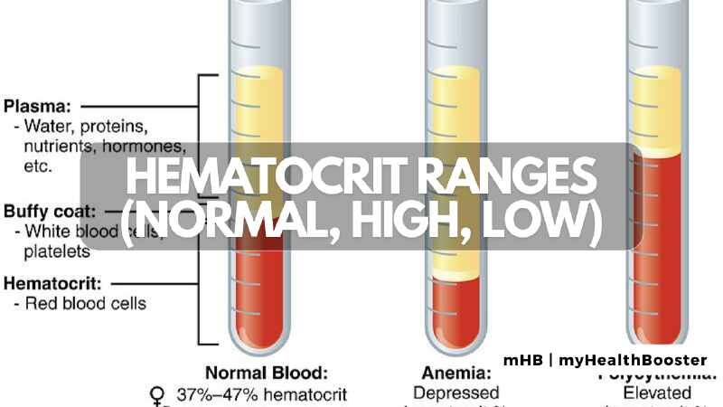 Hematocrit Ranges (Normal, High, and Low)