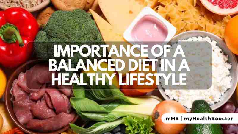 Importance of a Balanced Diet in a Healthy Lifestyle