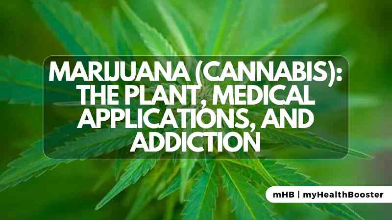 Marijuana (Cannabis): The Plant, Medical Applications, and Addiction