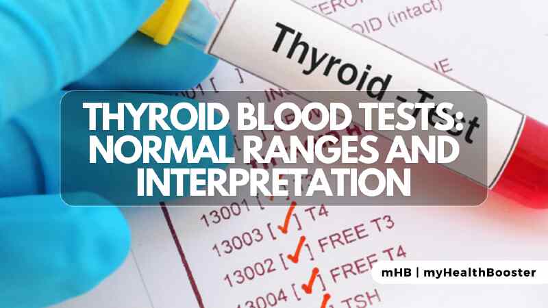 Thyroid Blood Tests (Normal Ranges and Intepretation)