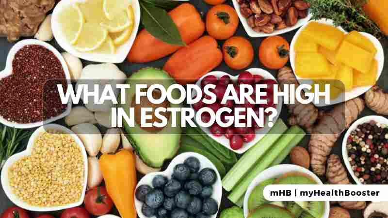 What Foods Are High in Estrogen