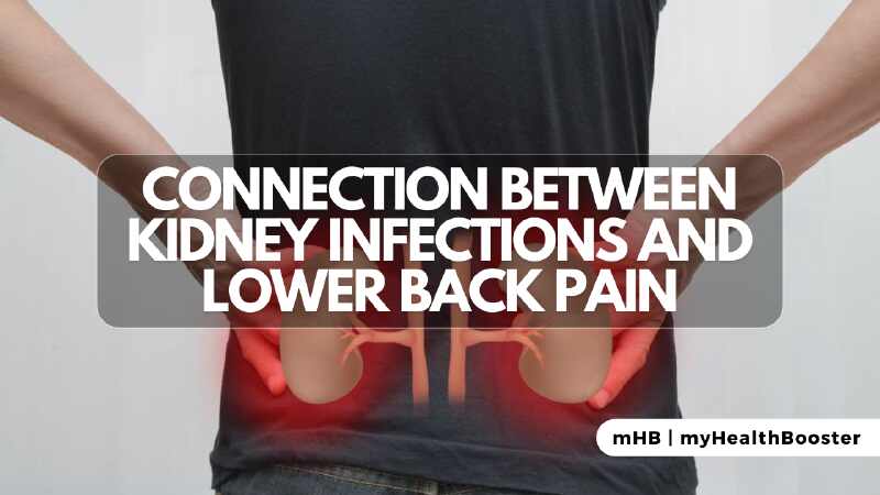 Connection Between Kidney Infections and Lower Back Pain